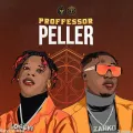 Professor Peller