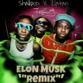 Elon Musk (feat. Fireboy DML) - Remix