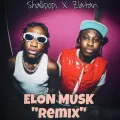 Elon Musk - Remix