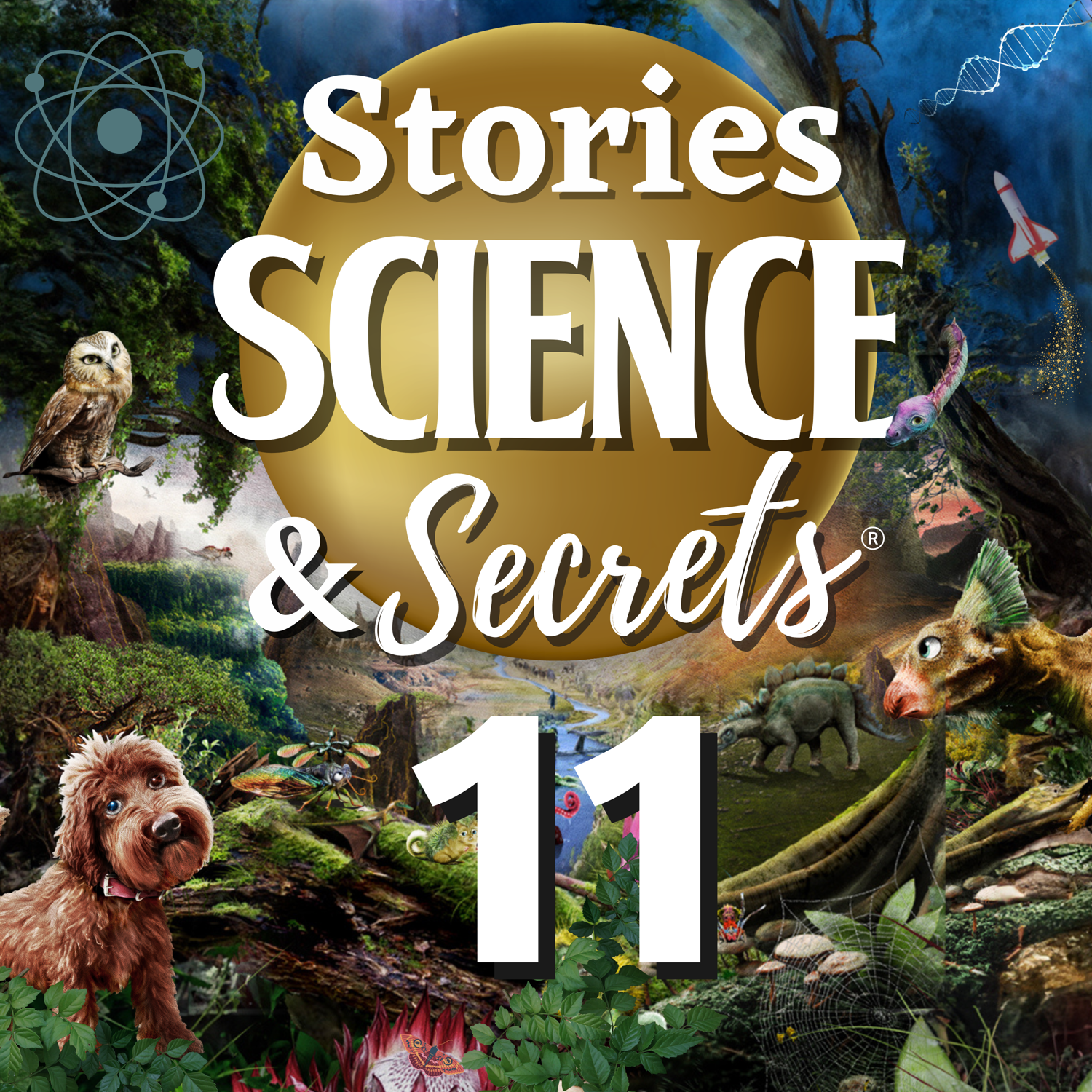 Ep11. 'Surprises'. Deep Down, Purring Cats, DNA & Reappearances.