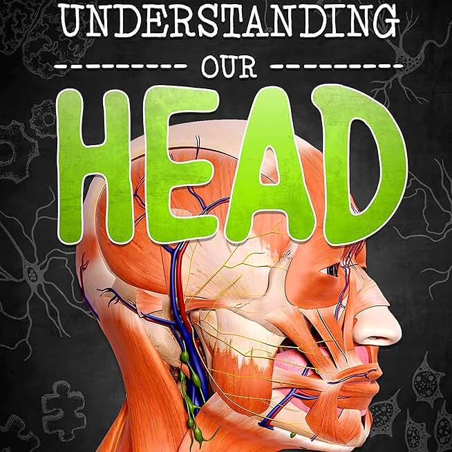 Understanding Our Head