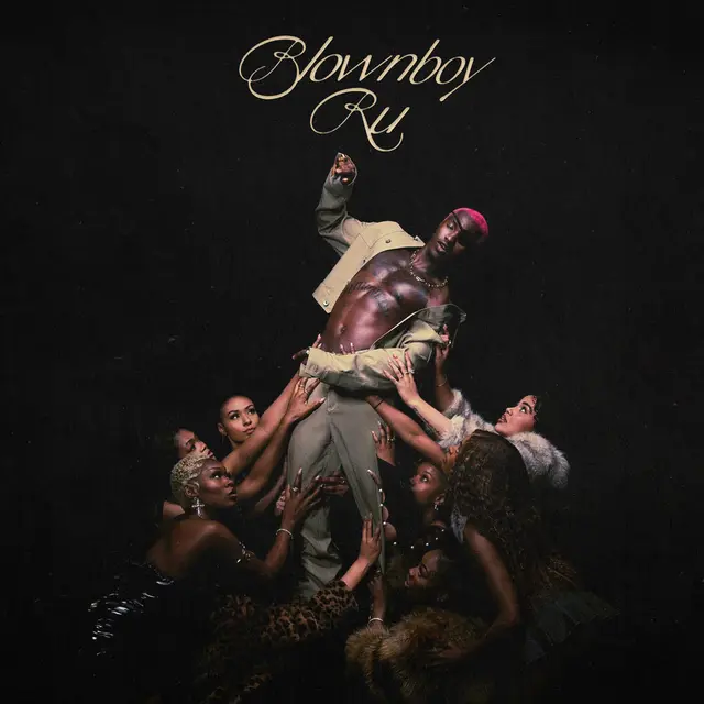 REintroduction cover art