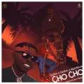 Cho Cho