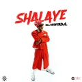 Shalaye