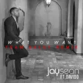 What You Want - Team Salut Remix