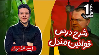 احياء الصف الاول الثانوي 2024 : شرح و حل درس قوانين مندل