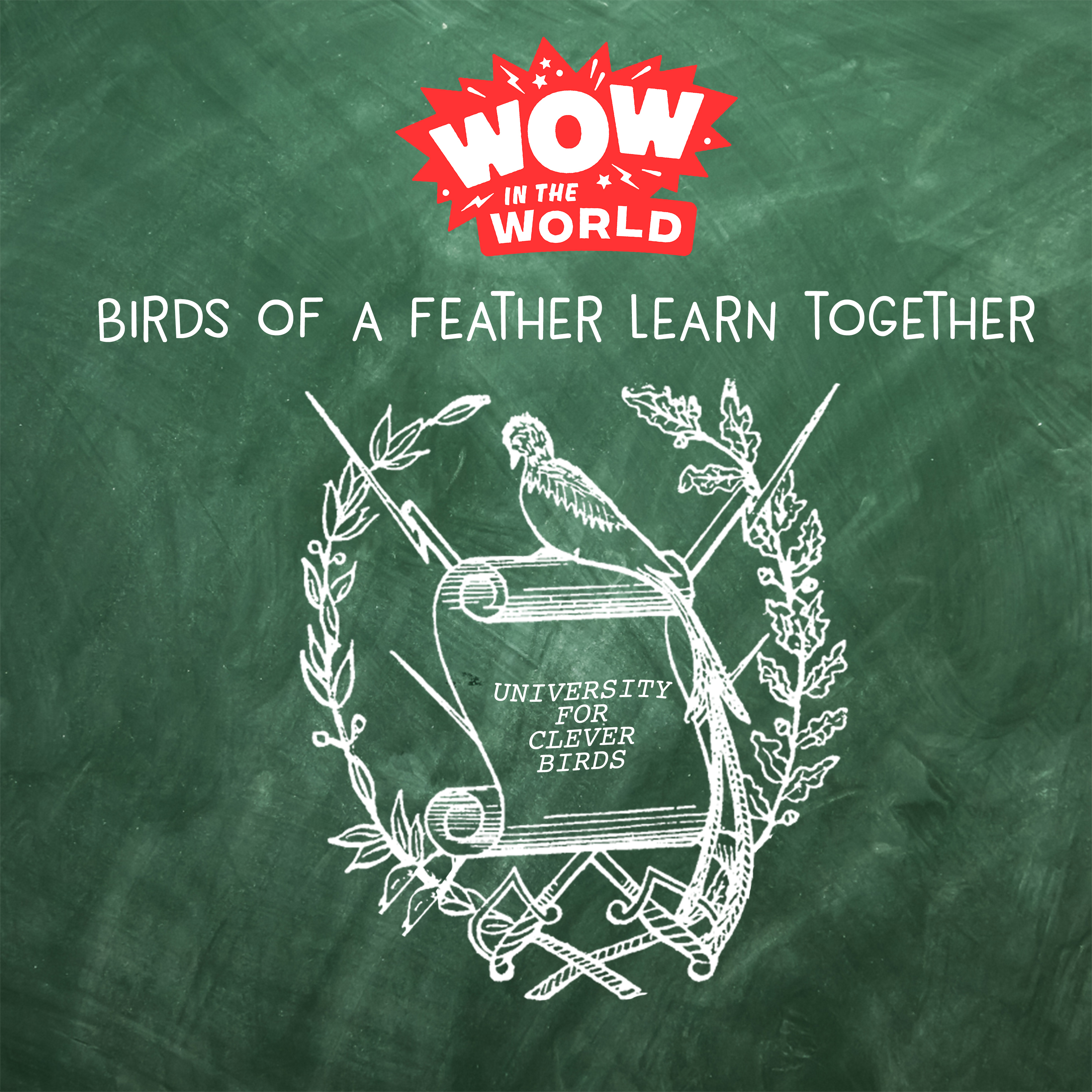 Birds of a Feather Learn Together: How Birds Learn Like You & Me!