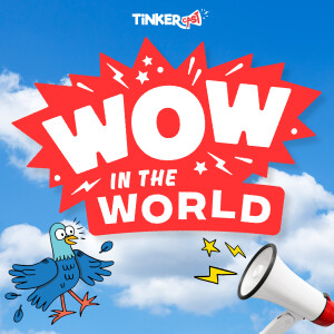 Wow in the World(2025-2026)