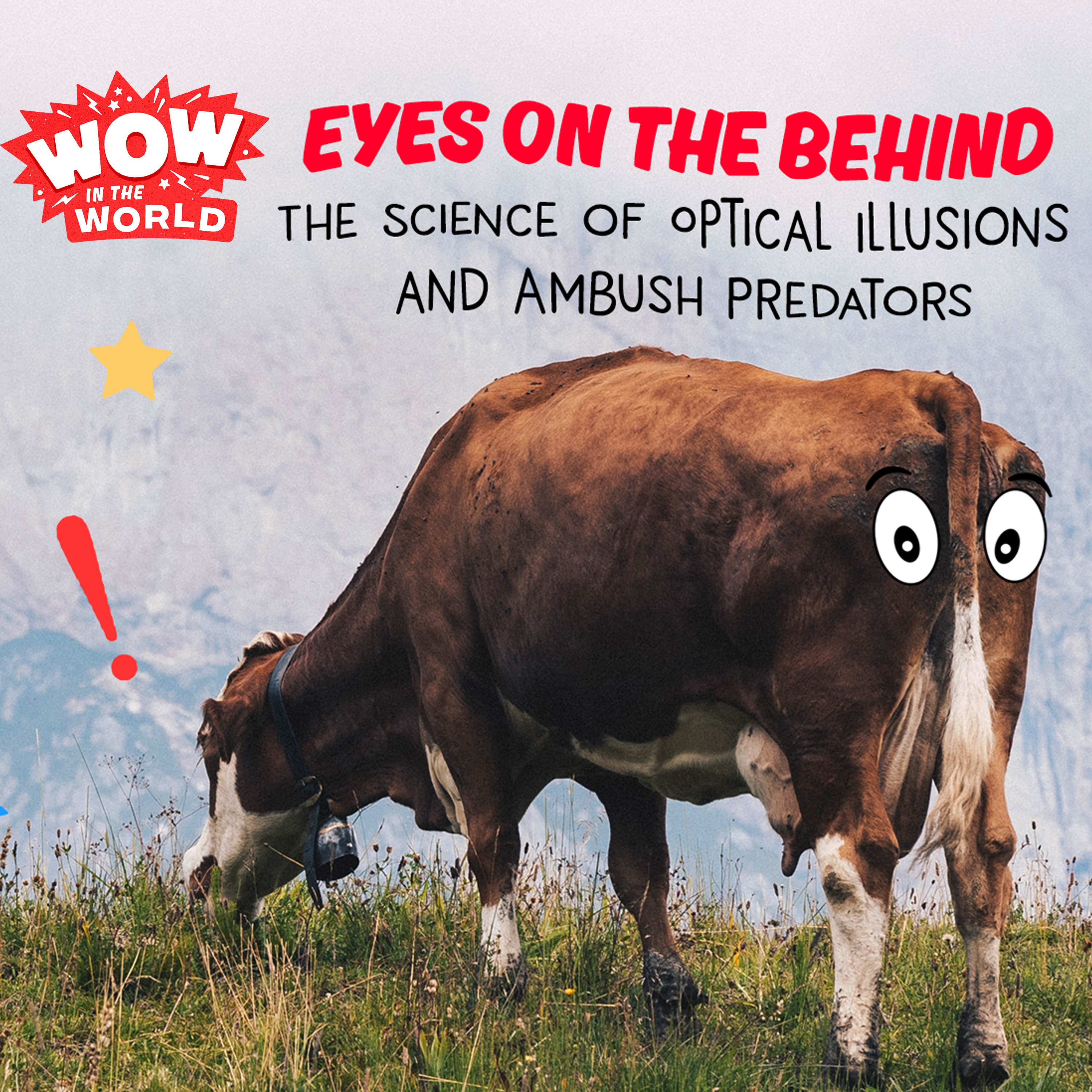Eyes On The Behind: The Science of Optical Illusions and Ambush Predators (Encore - 5/30/22)