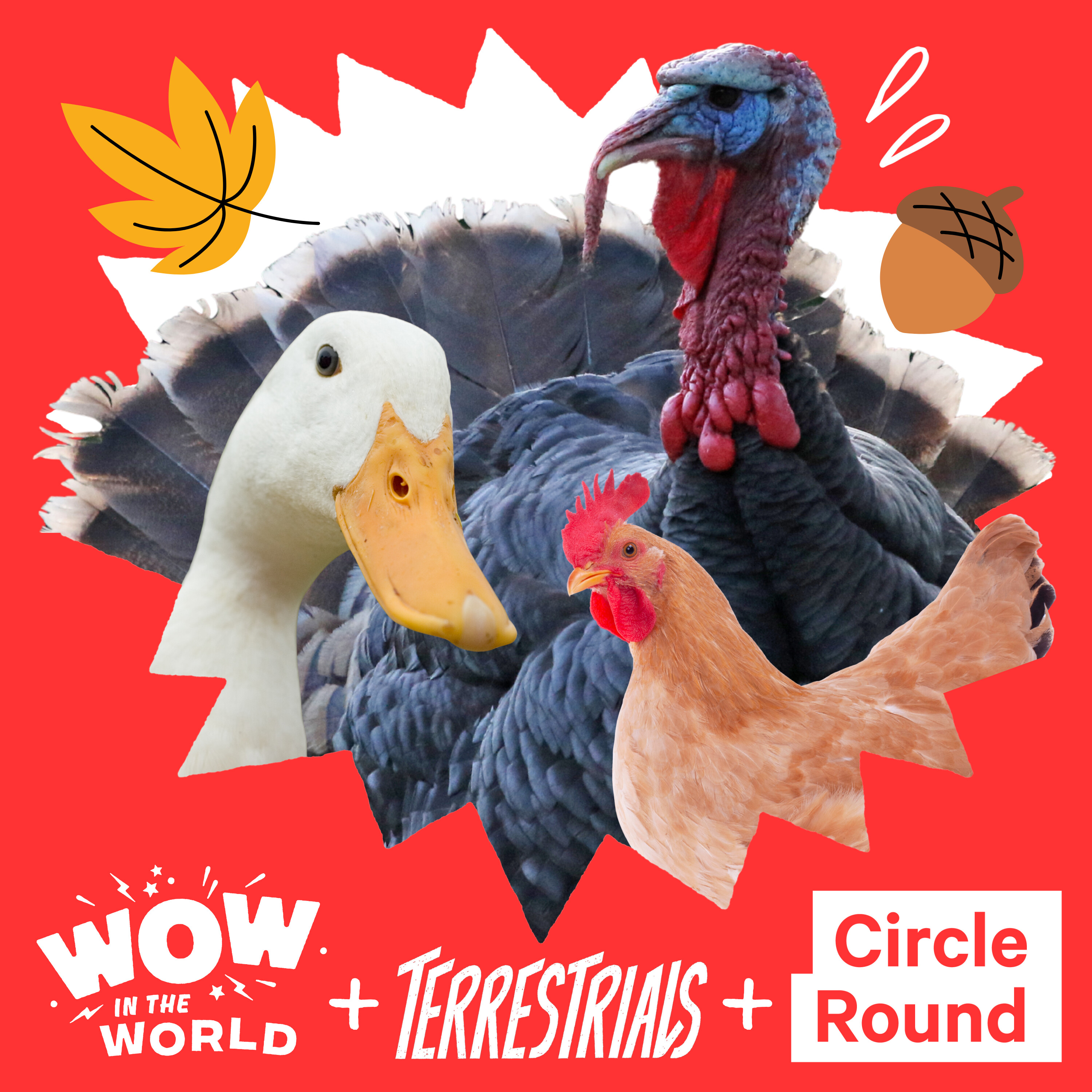 A Podcast Turducken: With Wow in the World, Terrestrials and Circle Round (11/17/25)
