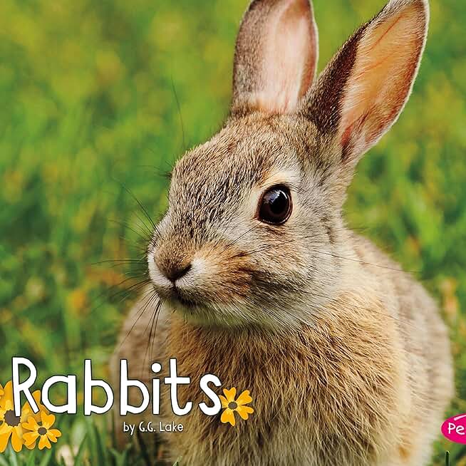 Rabbits