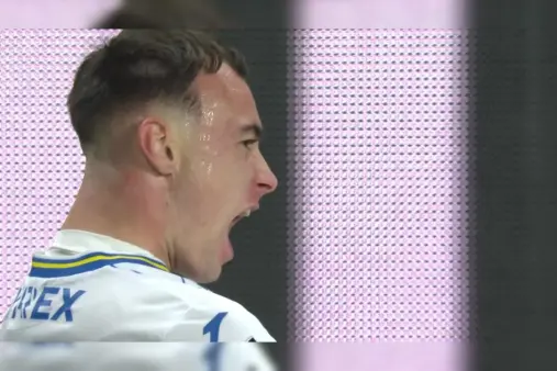 Rennes VS Lorient Highlight