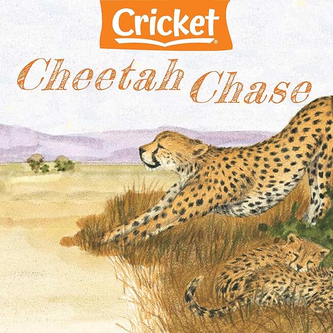 Cheetah Chase