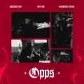 OPP (S)