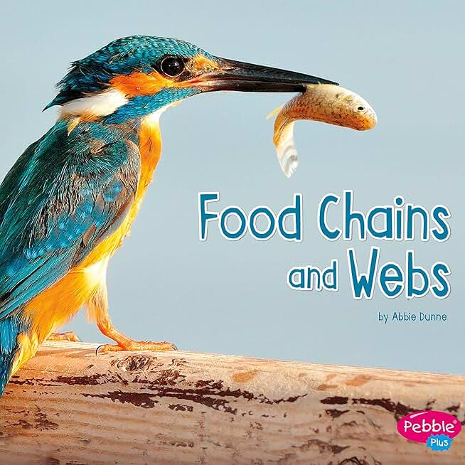 Food Chains and Webs: Life Science