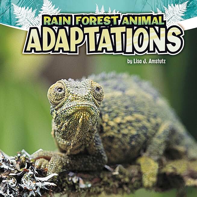 Rain Forest Animal Adaptations: Amazing Animal Adaptations