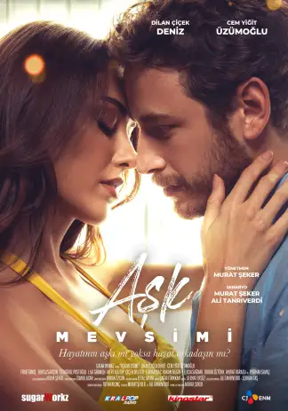 Season of Love (2024) poster
