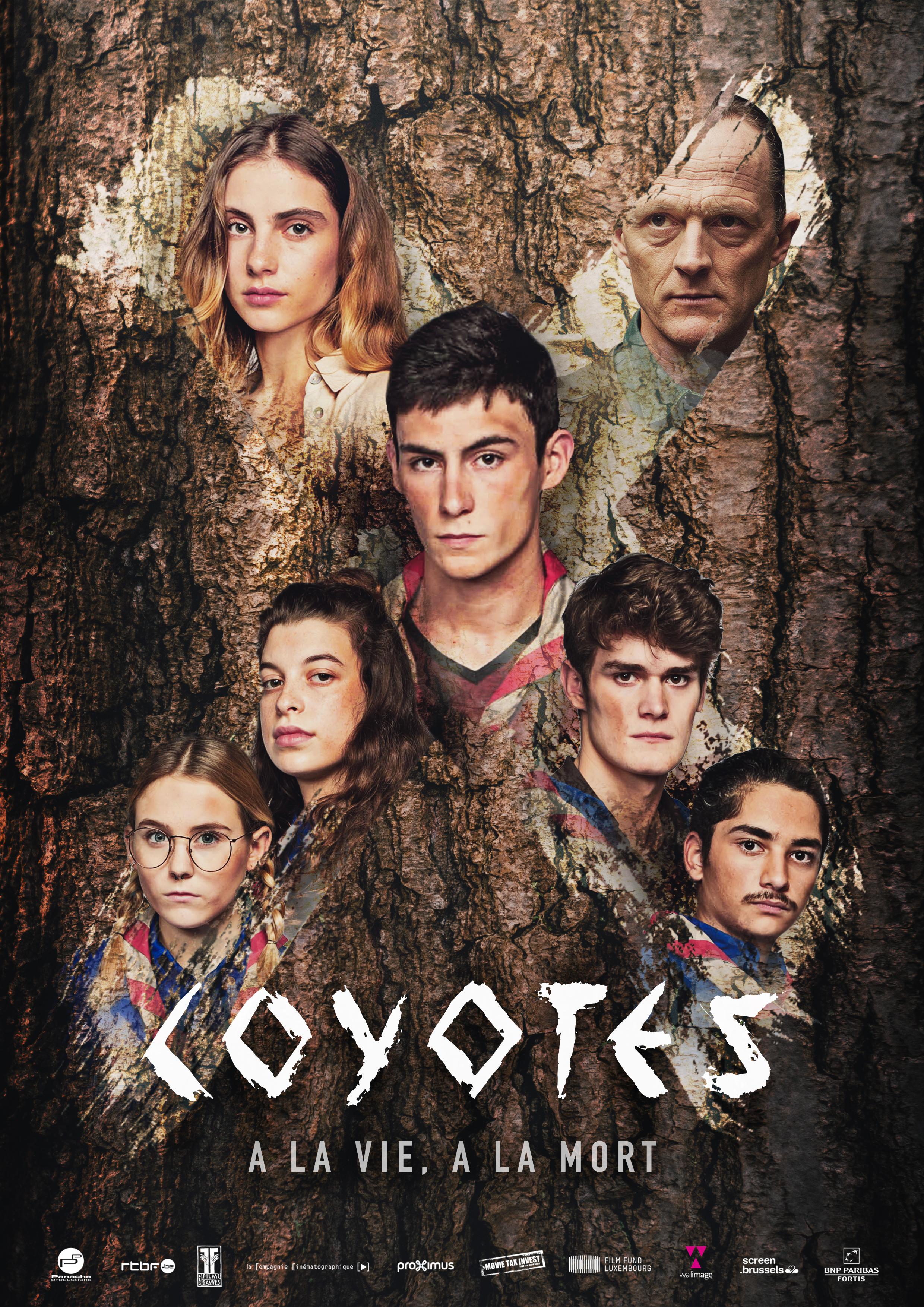 Poster The Coyotes