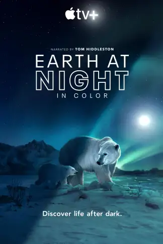 Earth at Night in Color (2020) poster