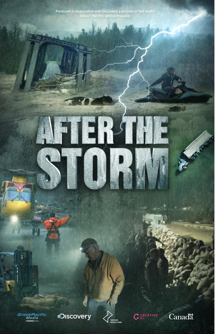 Poster After the Storm