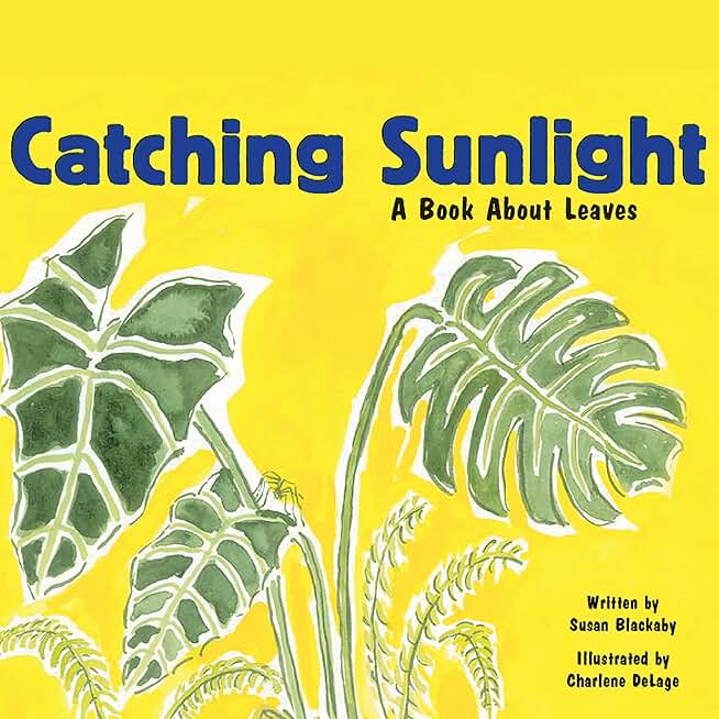 Catching Sunlight: A Book About Leaves
