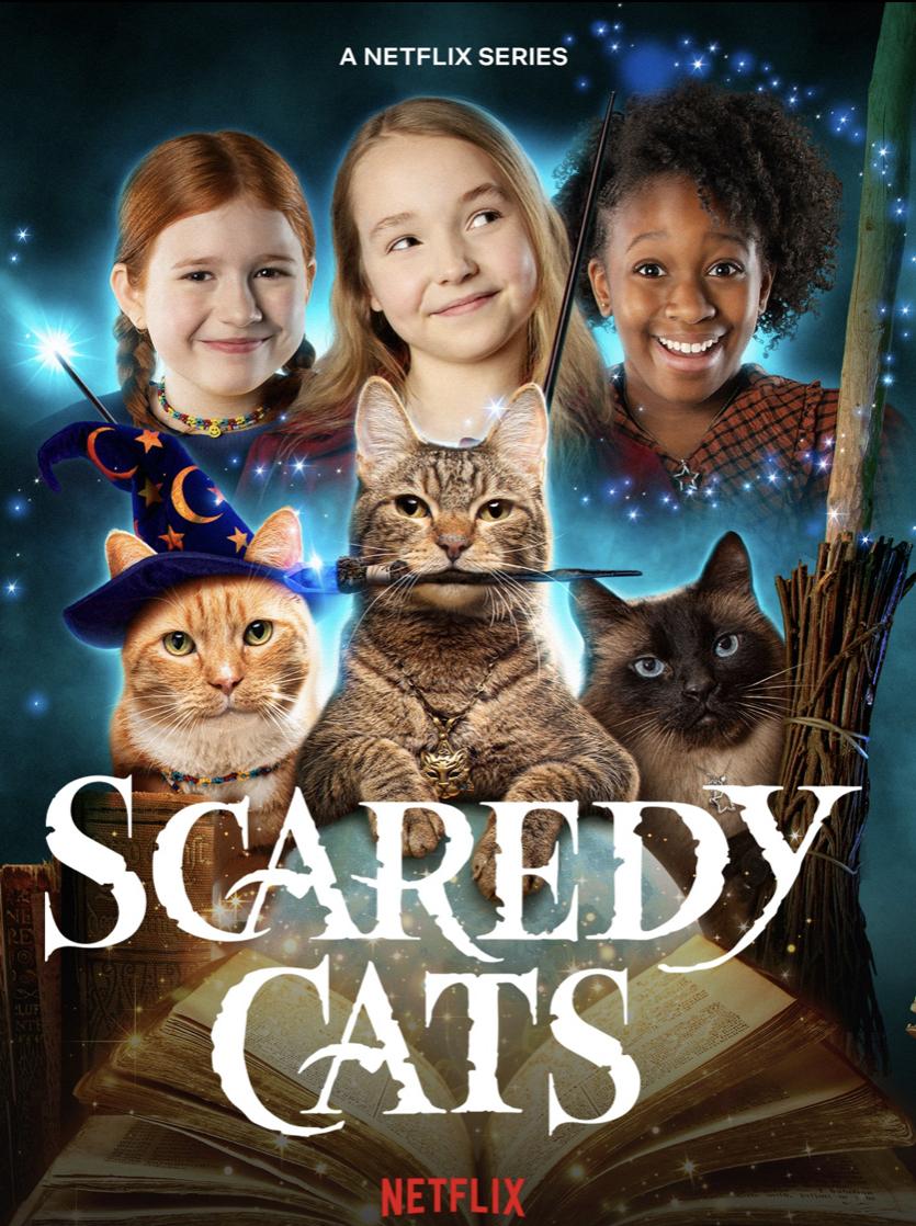 Poster Scaredy Cats
