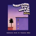 Before You Wake Up (feat. Vanessa Mdee) - Remix