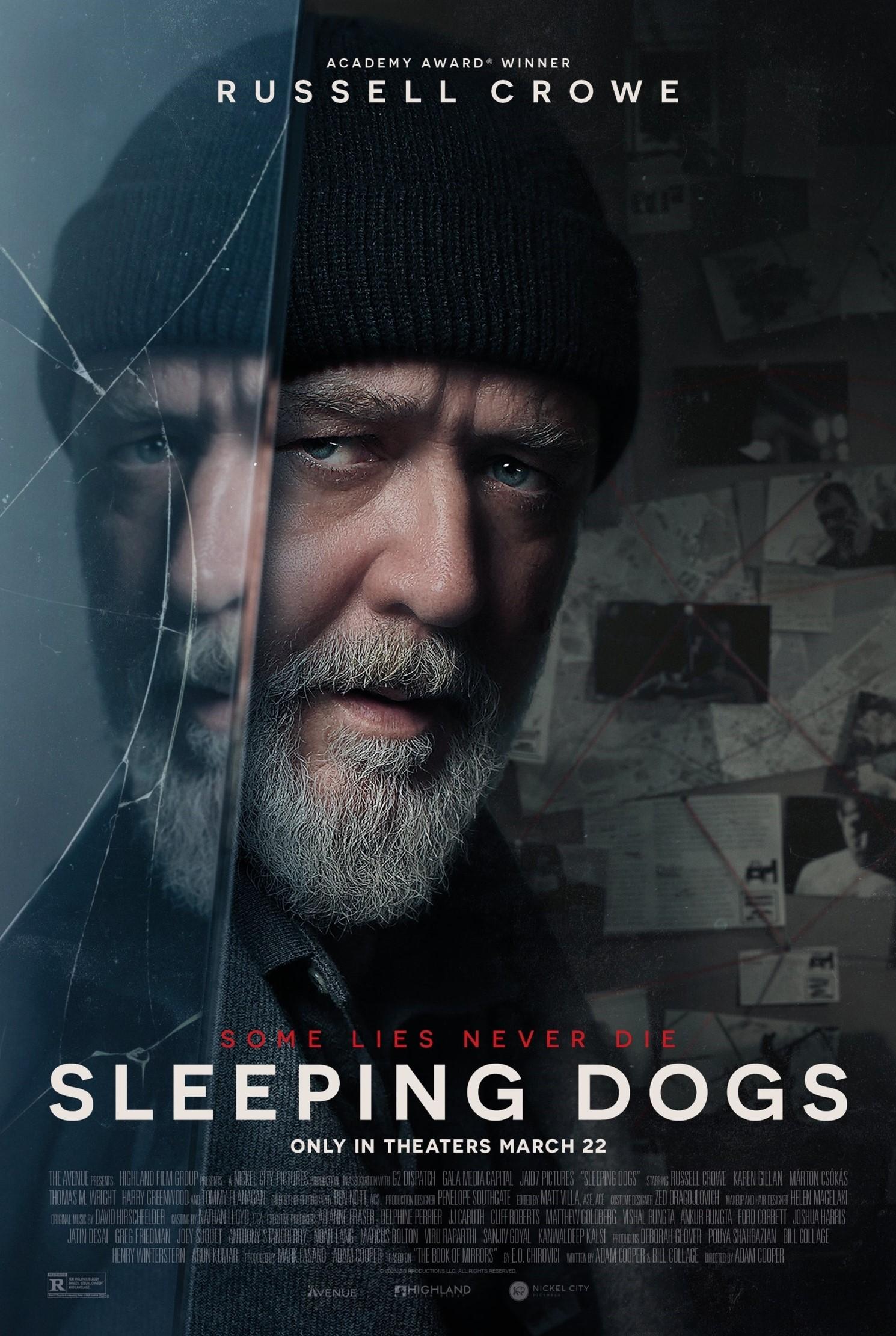 Poster Sleeping Dogs
