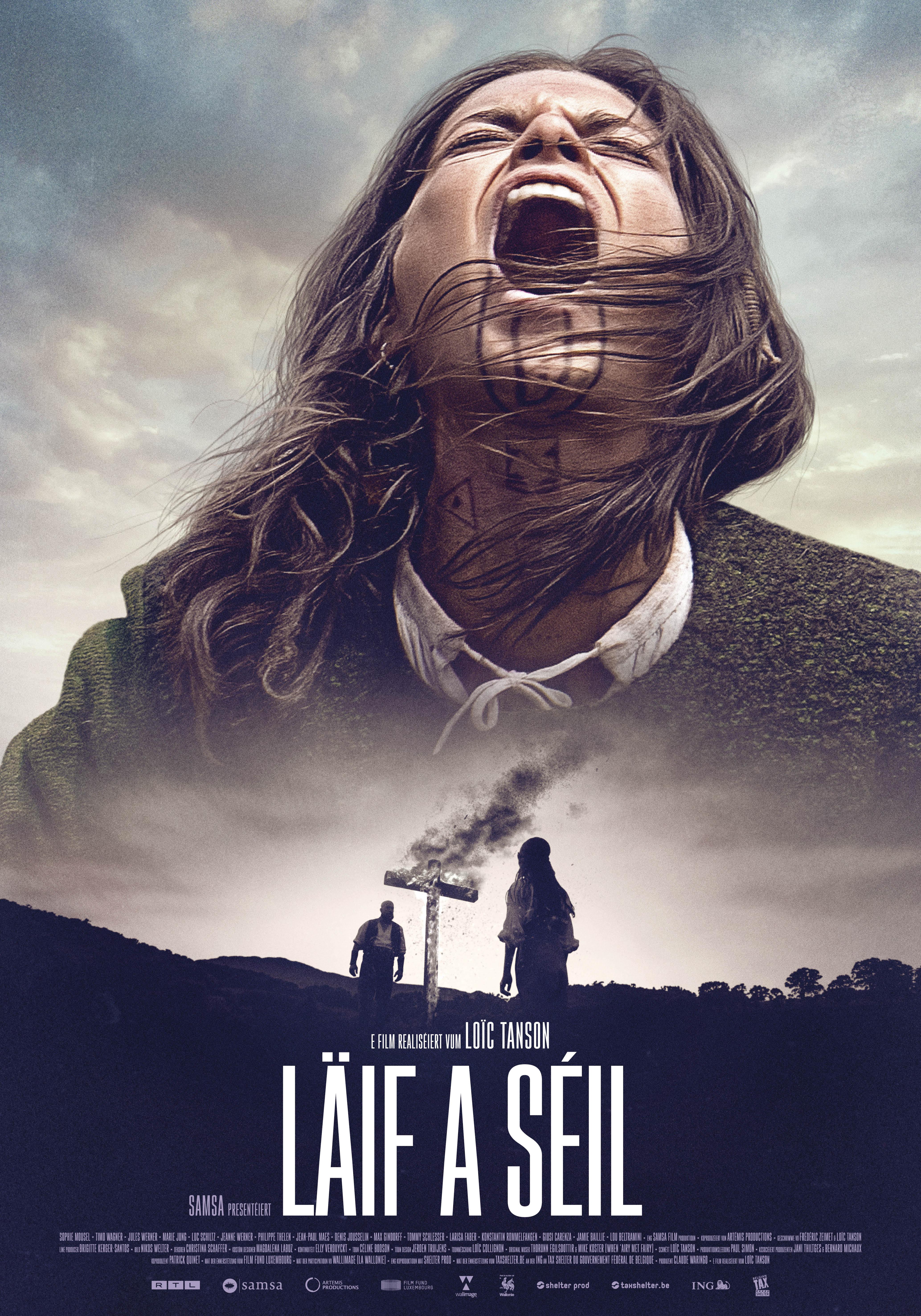 Poster The Last Ashes