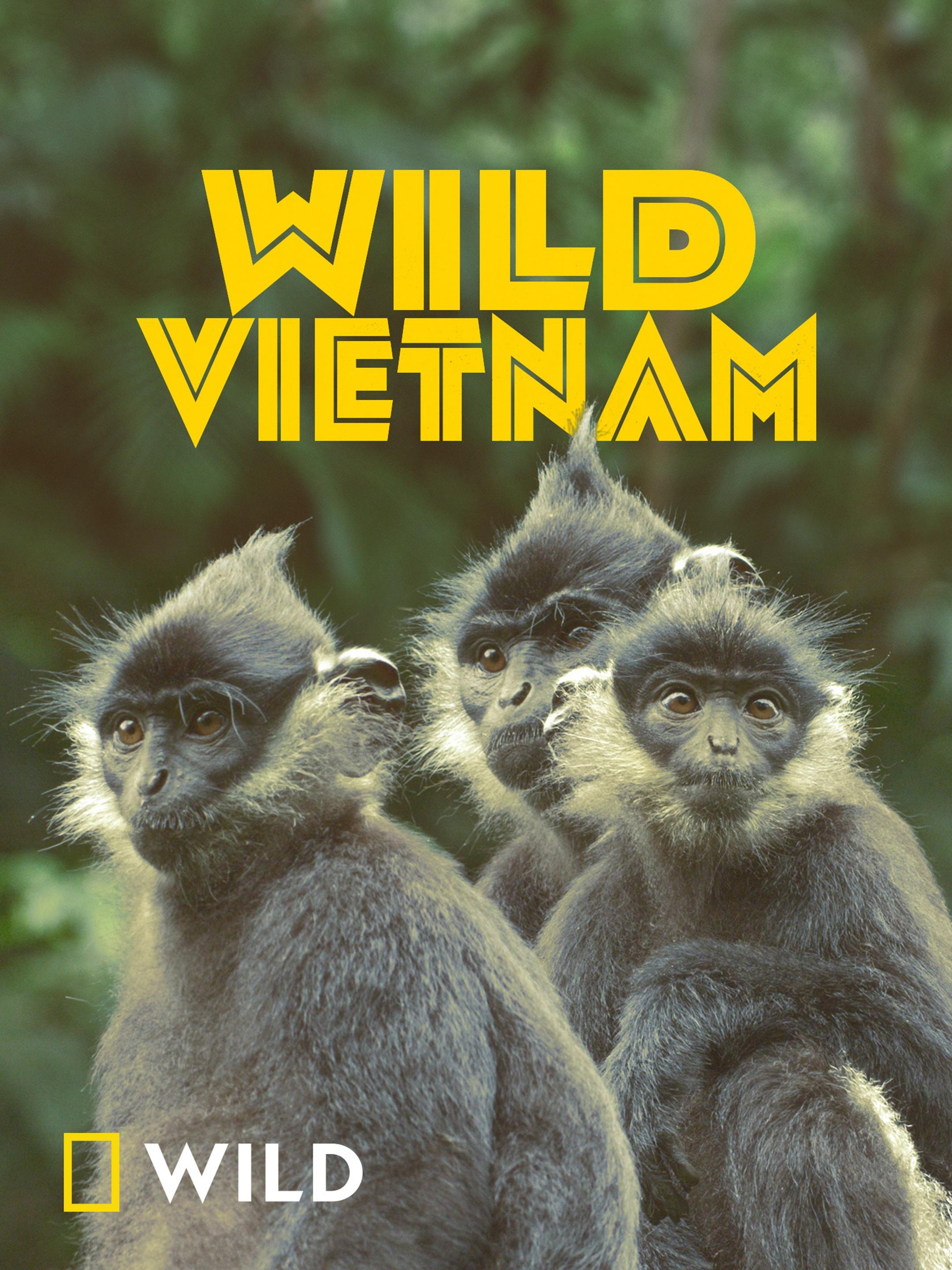 Wild Vietnam-S1E1