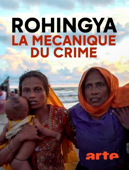 The Rohingyas: Workings of a Crime