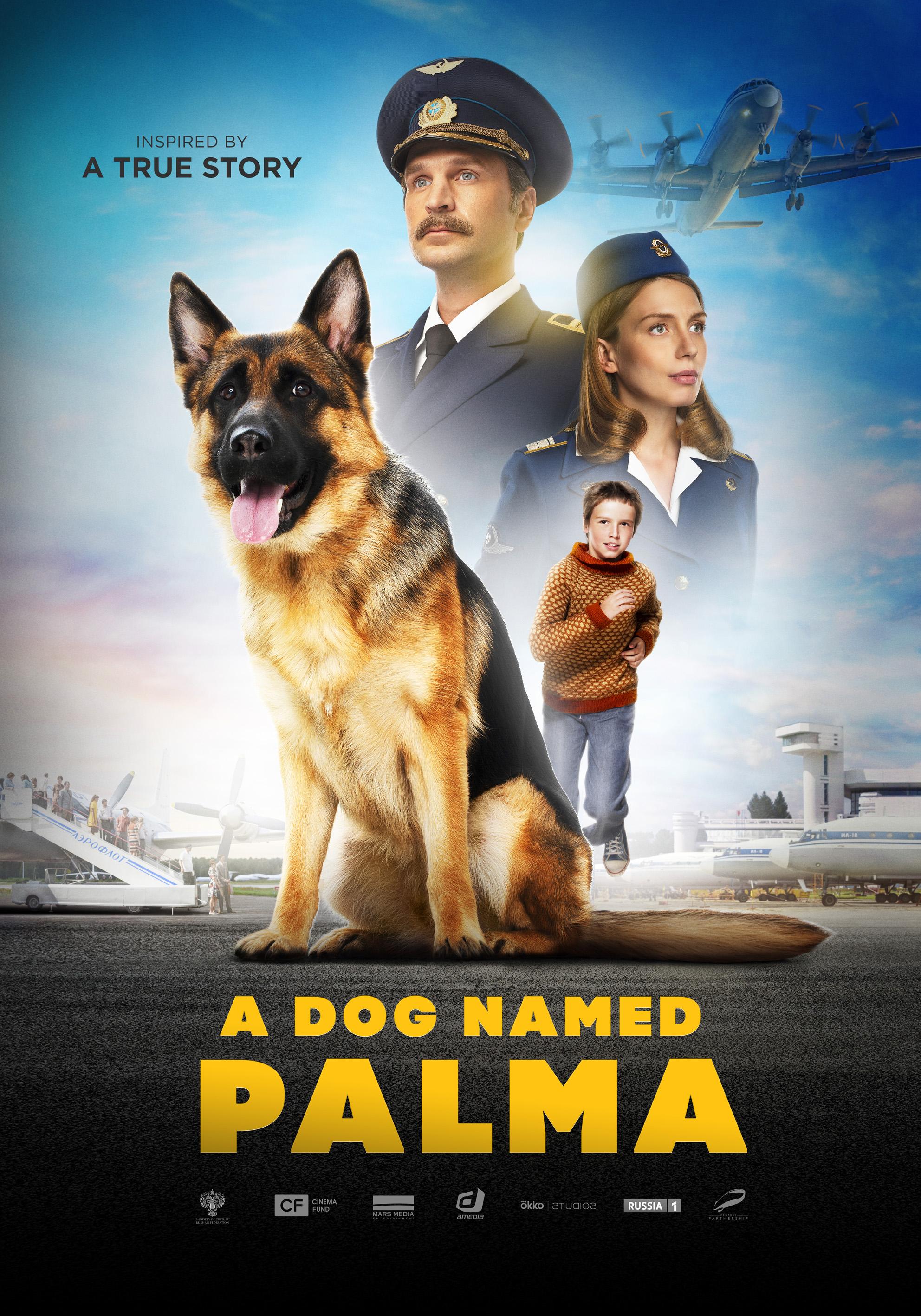 Poster A Dog Named Palma