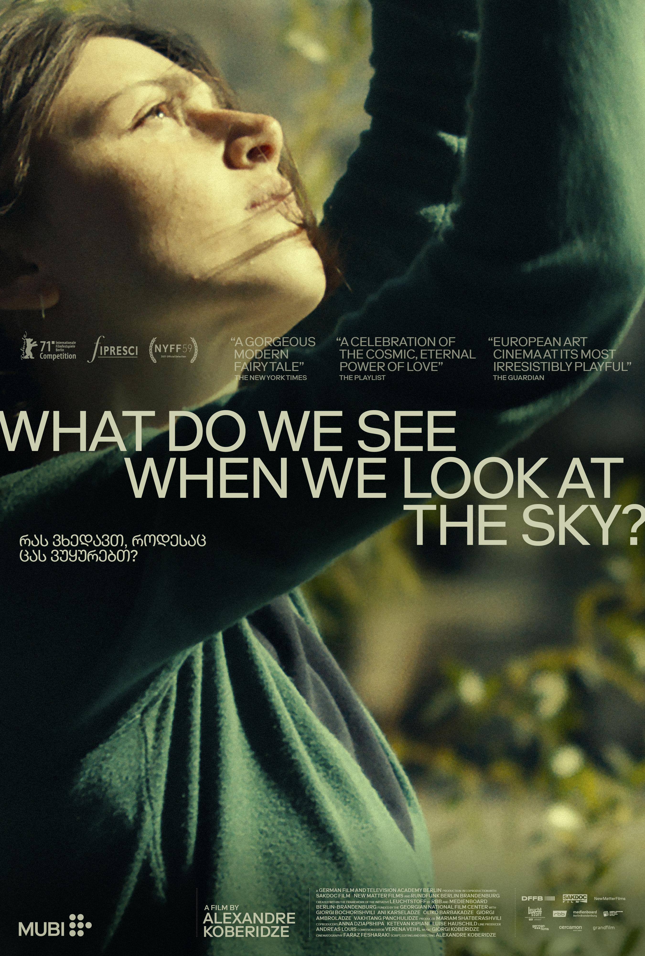 Poster What Do We See When We Look at the Sky?
