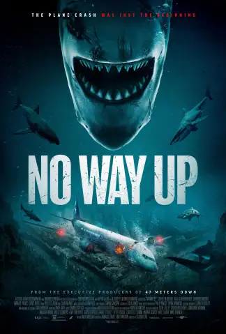 No Way Up (2024) poster