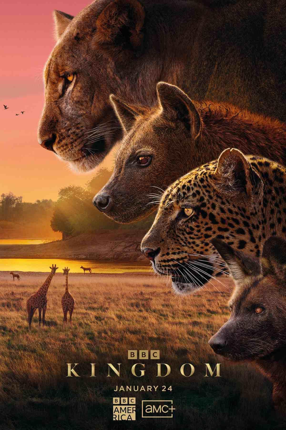 Background