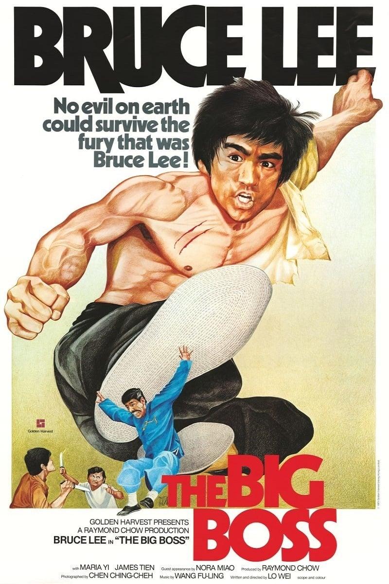 Poster The Big Boss