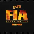 FIA (Remix)