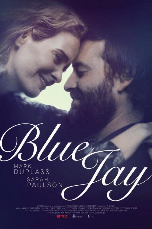 Poster Blue Jay