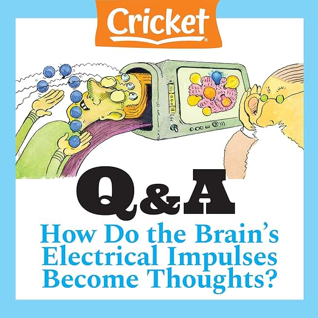 How Do the Brain's Electrical Impulses Become Thoughts?