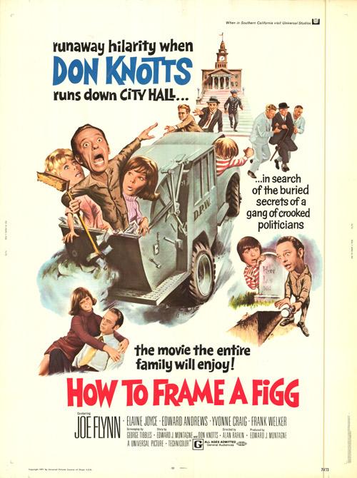 Poster How to Frame a Figg