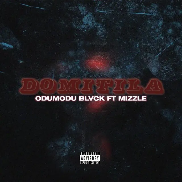 Domitila cover art