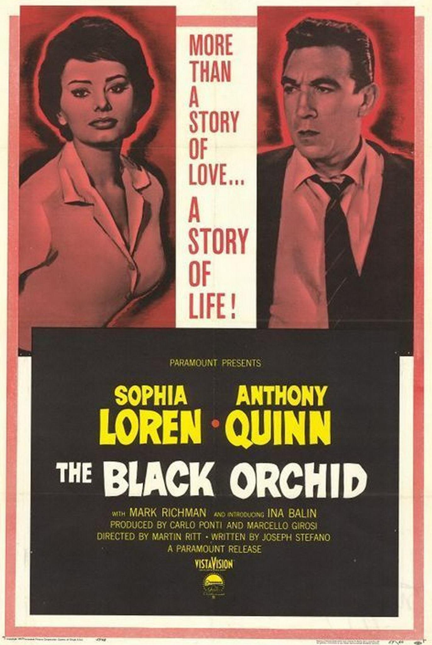 Poster The Black Orchid