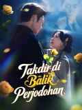 Takdir di Balik Perjodohan