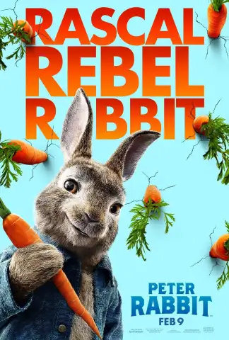 Peter Rabbit (2018) poster