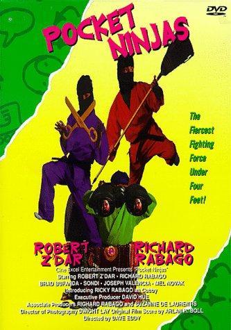 Poster Pocket Ninjas
