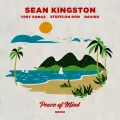 Peace of Mind - Remix