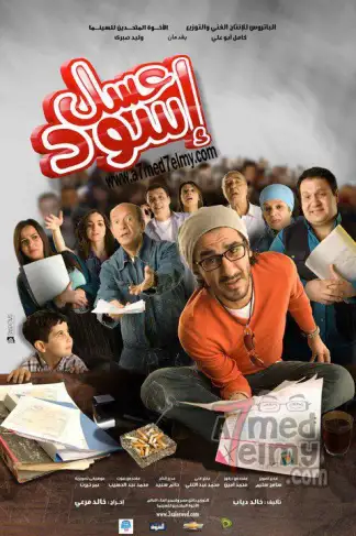Bittersweet (2010) poster