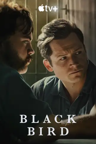 Black Bird (2022) poster