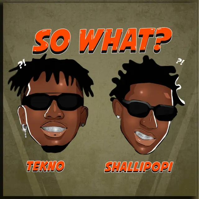 So What? cover art