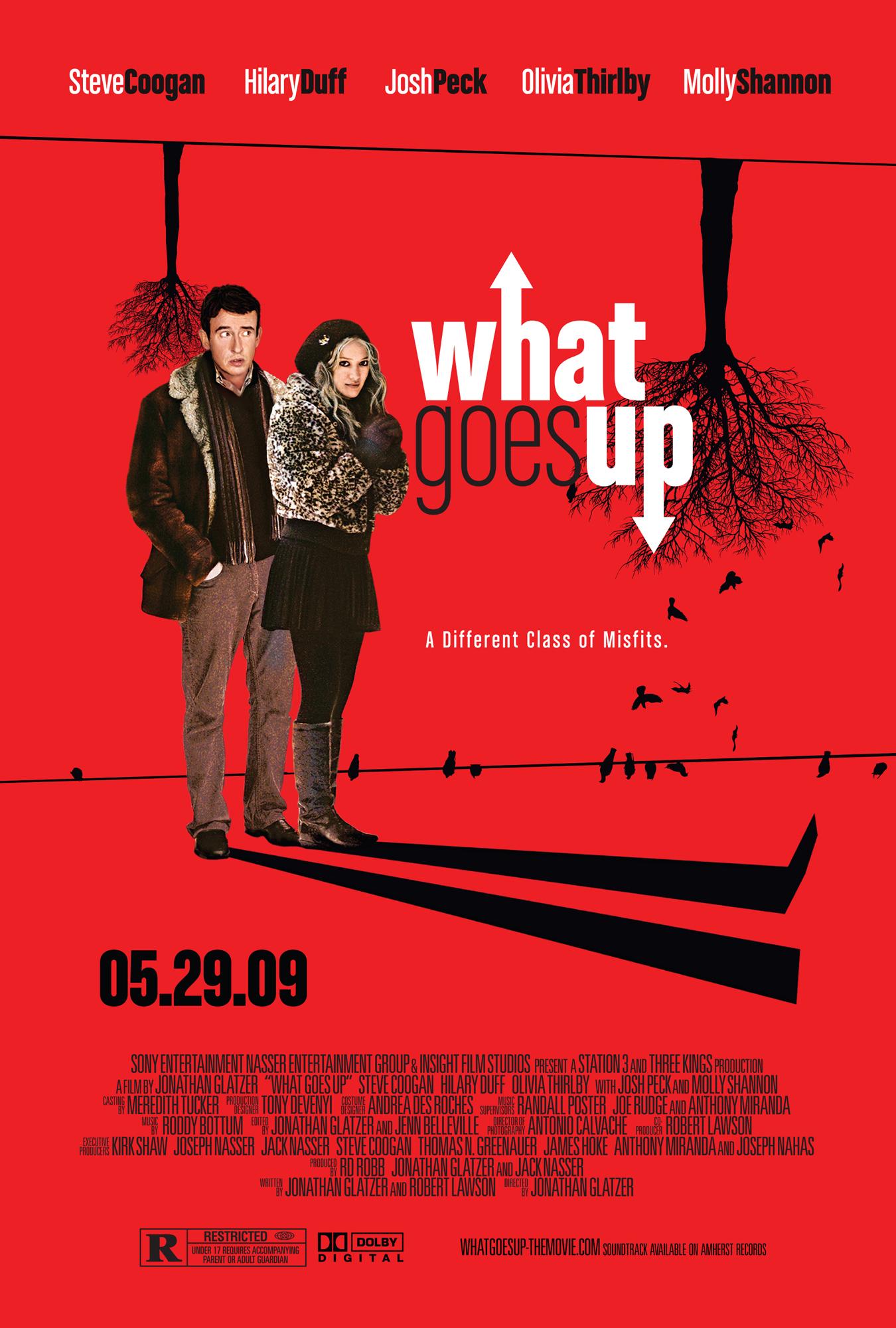 Poster What Goes Up